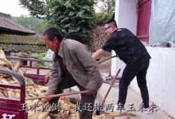 虎子妈吃瓜,揭秘娱乐圈幕后故事