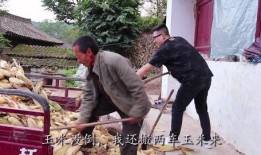 虎子妈吃瓜,揭秘娱乐圈幕后故事