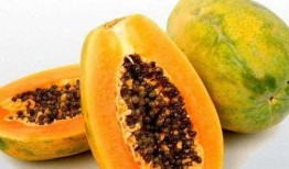 梦见吃瓜叶,揭秘吃瓜叶的神秘寓意