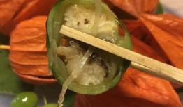 黑鱼吃瓜网址,揭秘网络热点的背后真相