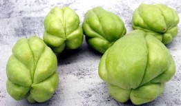 两岁小孩能否吃佛手瓜,营养与适宜性探讨