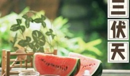 秋天吃瓜要用勺子吃文案,尽享丰收滋味时