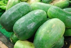 吃最便宜的瓜,探寻最便宜的瓜，品味生活智慧