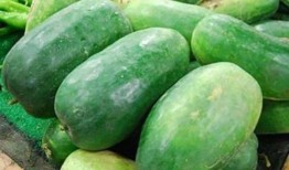 吃最便宜的瓜,探寻最便宜的瓜，品味生活智慧