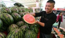 青海本地吃瓜视频,带你领略高原风味