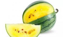 好书吃瓜,揭秘文学与娱乐的跨界盛宴