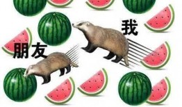 人类就是吃瓜,从原始狩猎到现代吃瓜的演变