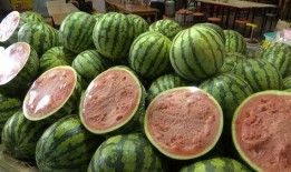 吃最便宜的瓜,探寻最便宜的瓜，品味生活智慧