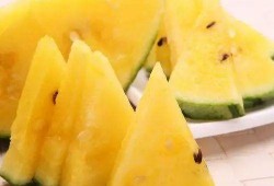 内蒙瓜怎么吃最好吃,解锁最佳食用秘诀