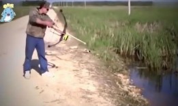 钓鱼吃瓜哥,揭秘网络红人的日常生活与娱乐