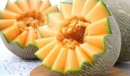 喀什人吃伽师瓜视频,探寻伽师瓜的独特魅力