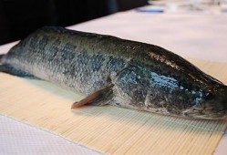 黑鱼吃瓜网址,揭秘网络热点的背后真相