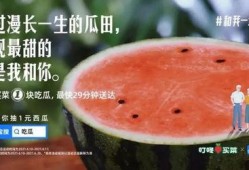 吃瓜观众的文案,一场全民参与的文案盛宴