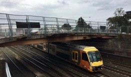 十一列车吃瓜,一场别开生面的吃瓜盛宴