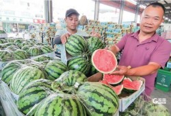 青海本地吃瓜视频,带你领略高原风味