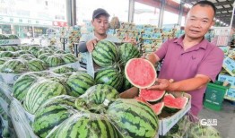 青海本地吃瓜视频,带你领略高原风味