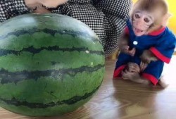 泡泡姥姥住院吃瓜,邻里街坊共吃瓜，温情满满暖人心