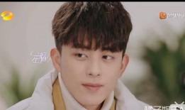 邓伦每日吃瓜,瓜田里的美食探索之旅