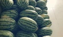 员工夏季吃瓜比赛,员工吃瓜大赛欢乐上演