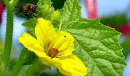 果宁吃瓜,揭秘娱乐圈那些不为人知的幕后故事