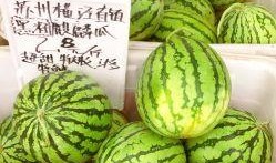 苏州各种吃瓜,瓜果飘香，味蕾盛宴掠影