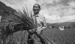 吃瓜袁隆平,吃瓜群众心中的农业巨匠