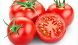 爱上番茄吃鸡瓜,鸡瓜鲜美，尽享美食盛宴