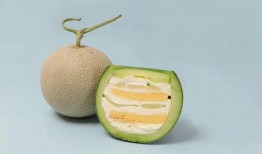 小说简介式吃瓜,一场奇幻爱情的奇幻之旅