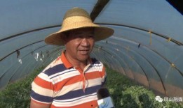 平远吃瓜群众新闻,最新新闻事件深度解析