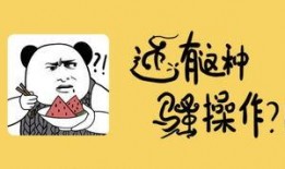 吃瓜了舔屏,揭秘娱乐圈幕后真相