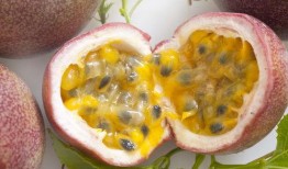 吃甜梨瓜肚子胀,甜梨瓜引发肚子胀的真相解析