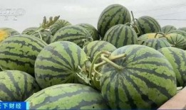 华水吃瓜,揭秘那些年我们一起“吃瓜”的日子