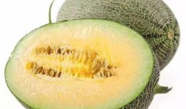 最近在吃的瓜是什么瓜,“吃瓜群众”追捧的神秘瓜种