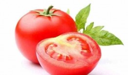 爱上番茄吃鸡瓜,鸡瓜鲜美，尽享美食盛宴