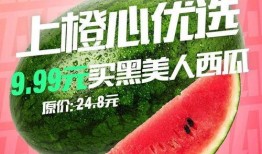 吃瓜新人,揭秘娱乐圈幕后故事