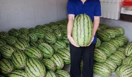 华水吃瓜,揭秘那些年我们一起“吃瓜”的日子