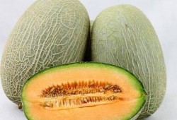 吃止疼药可以吃哈密瓜吗,安全共食指南