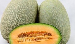 吃止疼药可以吃哈密瓜吗,安全共食指南