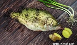 苕瓜能和鳜鱼一起吃吗,健康搭配的饮食新选择