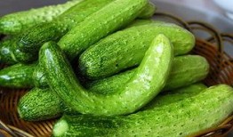 牛大哥吃瓜,牛大哥的瓜田奇遇记