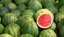 和小源吃瓜,揭秘娱乐圈那些不为人知的幕后故事