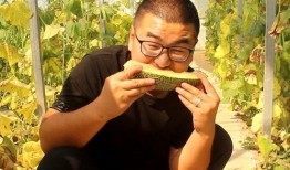 热心吃瓜小帅,揭秘娱乐圈那些不为人知的幕后故事