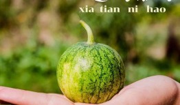 佑星吃瓜,揭秘娱乐圈幕后故事