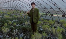 吃瓜头像封面图片大全,海量吃瓜头像封面图片大盘点