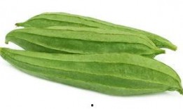 吃小瓜通便,轻松通便新体验