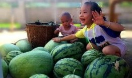 瓜地里现吃现摘,尽享新鲜美味