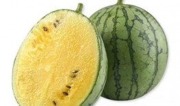 长垣吃瓜升高凳,凳子升高的趣味解读