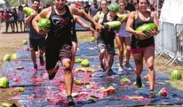 加州吃瓜群众,揭秘加州生活百态