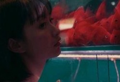 科技吃瓜少女,揭秘科技圈那些不为人知的幕后故事