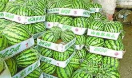 大街上吃瓜,揭秘都市生活百态